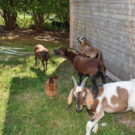 2 Bedroom In Dom wakacyjny