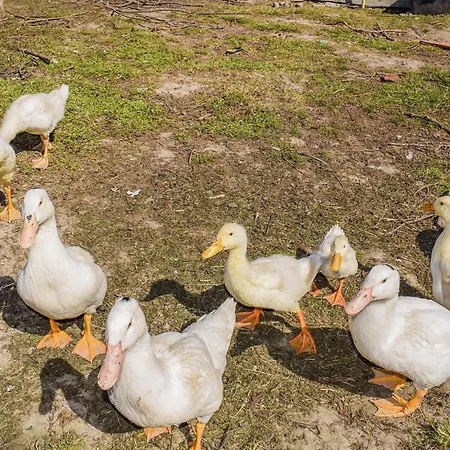 Dom wakacyjny 2 Bedroom In Wejdyki