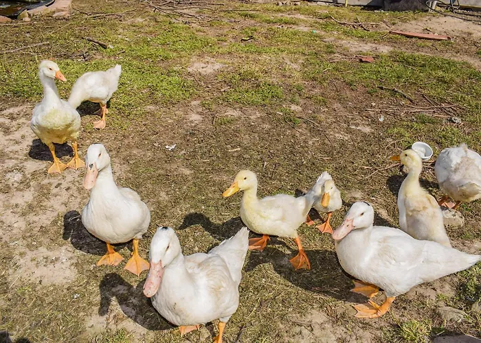 Dom wakacyjny 2 Bedroom In Wejdyki